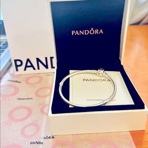 Classic Pandora Bracelet, ALE 925, includes all you can see